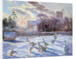 Winter Geese in Church Meadow by Timothy Easton
