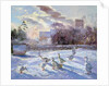 Winter Geese in Church Meadow by Timothy Easton