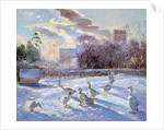 Winter Geese in Church Meadow by Timothy Easton