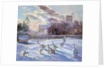 Winter Geese in Church Meadow by Timothy Easton