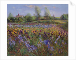 Irises and Burgate Green by Timothy Easton