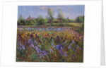 Irises and Burgate Green by Timothy Easton