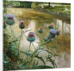 Cardoons Against the Moat by Timothy Easton