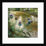 Cardoons Against the Moat by Timothy Easton