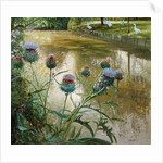 Cardoons Against the Moat by Timothy Easton