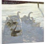 Geese Against the Light by Timothy Easton