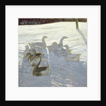 Geese Against the Light by Timothy Easton