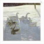 Geese Against the Light by Timothy Easton