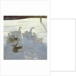 Geese Against the Light by Timothy Easton