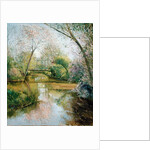 Full Blossom by Timothy Easton