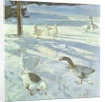 Snowfeeders, 1999 by Timothy Easton