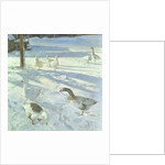 Snowfeeders, 1999 by Timothy Easton