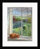 Sleeping Cat and Chinese Bridge by Timothy Easton
