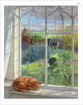 Sleeping Cat and Chinese Bridge by Timothy Easton