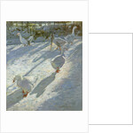 Exploring the Slope by Timothy Easton