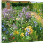 Sweet Rocket, Foxgloves and Irises, 2000 by Timothy Easton