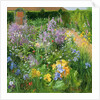 Sweet Rocket, Foxgloves and Irises, 2000 by Timothy Easton