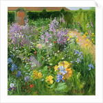 Sweet Rocket, Foxgloves and Irises, 2000 by Timothy Easton