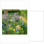 Sweet Rocket, Foxgloves and Irises, 2000 by Timothy Easton