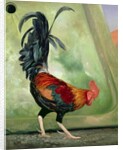 Popinjay, detail showing cockerel, 1987 by Timothy Easton