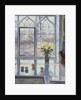 Rain Watching by Timothy Easton