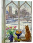 Snow Shadows and Cat by Timothy Easton
