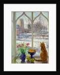 Snow Shadows and Cat by Timothy Easton
