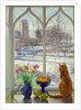 Snow Shadows and Cat by Timothy Easton