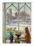 Snow Shadows and Cat by Timothy Easton