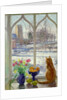 Snow Shadows and Cat by Timothy Easton