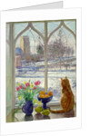 Snow Shadows and Cat by Timothy Easton