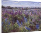 Delphinium Field and Church by Timothy Easton