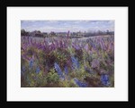 Delphinium Field and Church by Timothy Easton