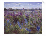 Delphinium Field and Church by Timothy Easton