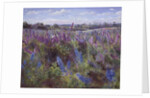 Delphinium Field and Church by Timothy Easton