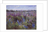Delphinium Field and Church by Timothy Easton