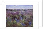 Delphinium Field and Church by Timothy Easton