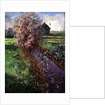 Bearded Bush by Timothy Easton