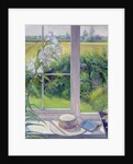 Window Seat and Lily, 1991 by Timothy Easton