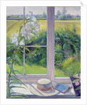 Window Seat and Lily, 1991 by Timothy Easton