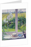 Window Seat and Lily, 1991 by Timothy Easton