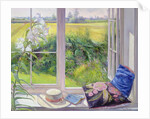 Window Seat and Lily, 1991 by Timothy Easton