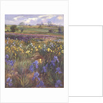 Towards Burgate Church by Timothy Easton