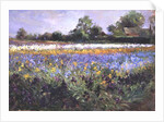 Iris Field and Two Cottages by Timothy Easton