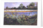 Iris Field and Two Cottages by Timothy Easton