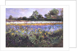 Iris Field and Two Cottages by Timothy Easton