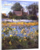 The Enclosed Cottages in the Iris Field by Timothy Easton