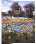 The Enclosed Cottages in the Iris Field by Timothy Easton