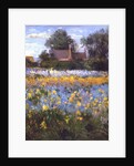 The Enclosed Cottages in the Iris Field by Timothy Easton