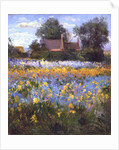 The Enclosed Cottages in the Iris Field by Timothy Easton